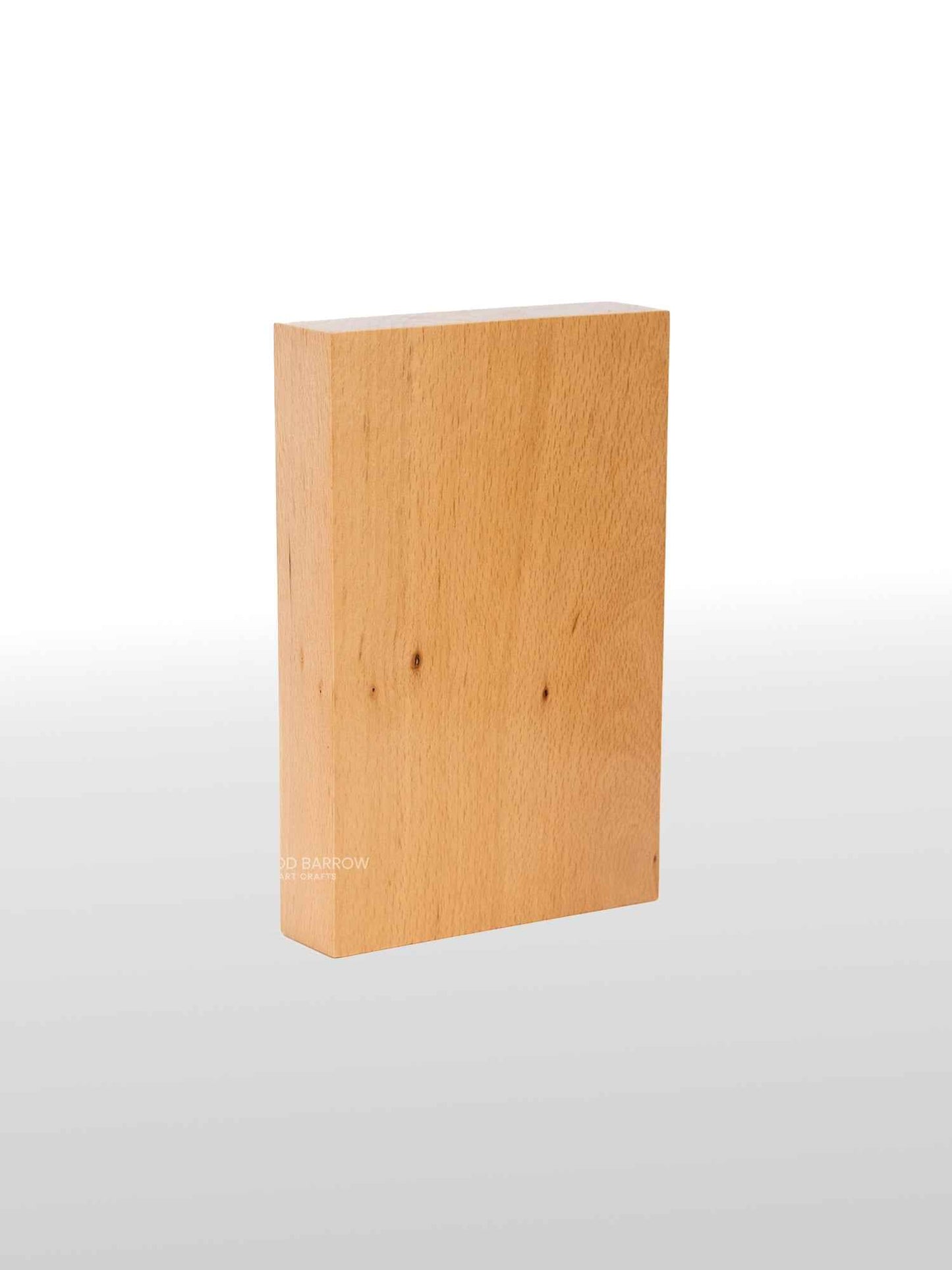 Wooden Trophy/Memento with Customized Leather Logo