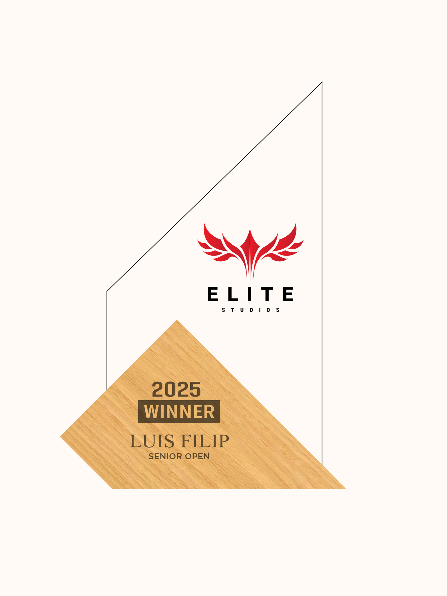 Customized Acrylic Crafts Plexiglass Winner Trophy