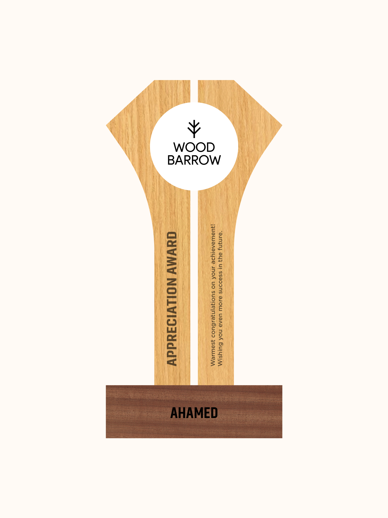 Customized Acrylic Crafts Plexiglass Award – Outstanding Enterprise Honor Trophy\