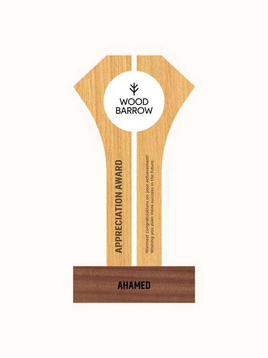 Customized Acrylic Crafts Plexiglass Award – Outstanding Enterprise Honor Trophy\