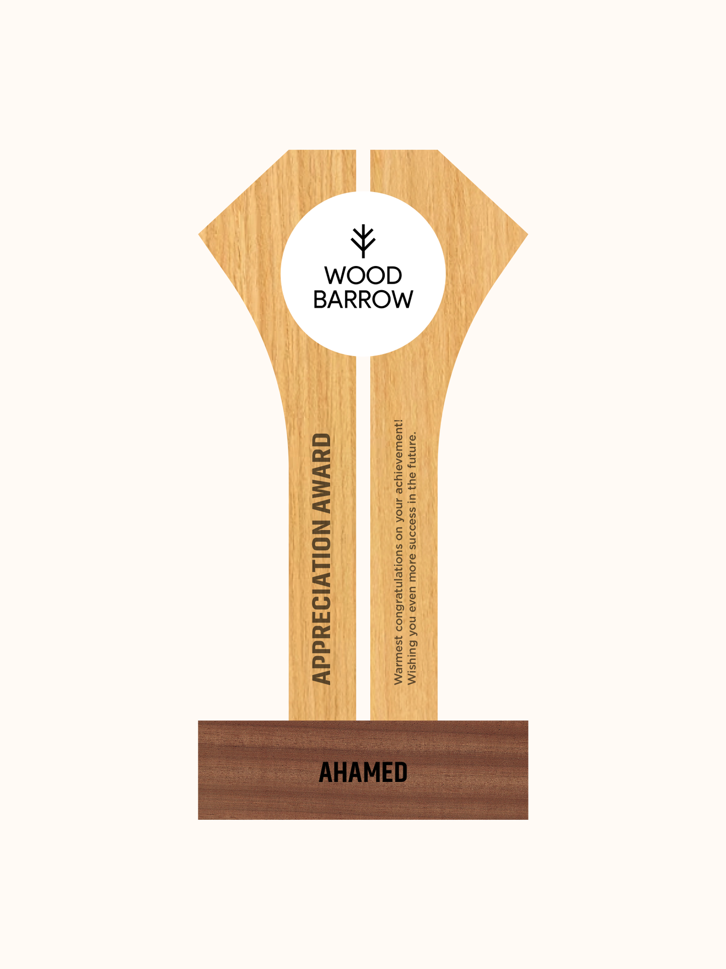 Customized Acrylic Crafts Plexiglass Award – Outstanding Enterprise Honor Trophy\