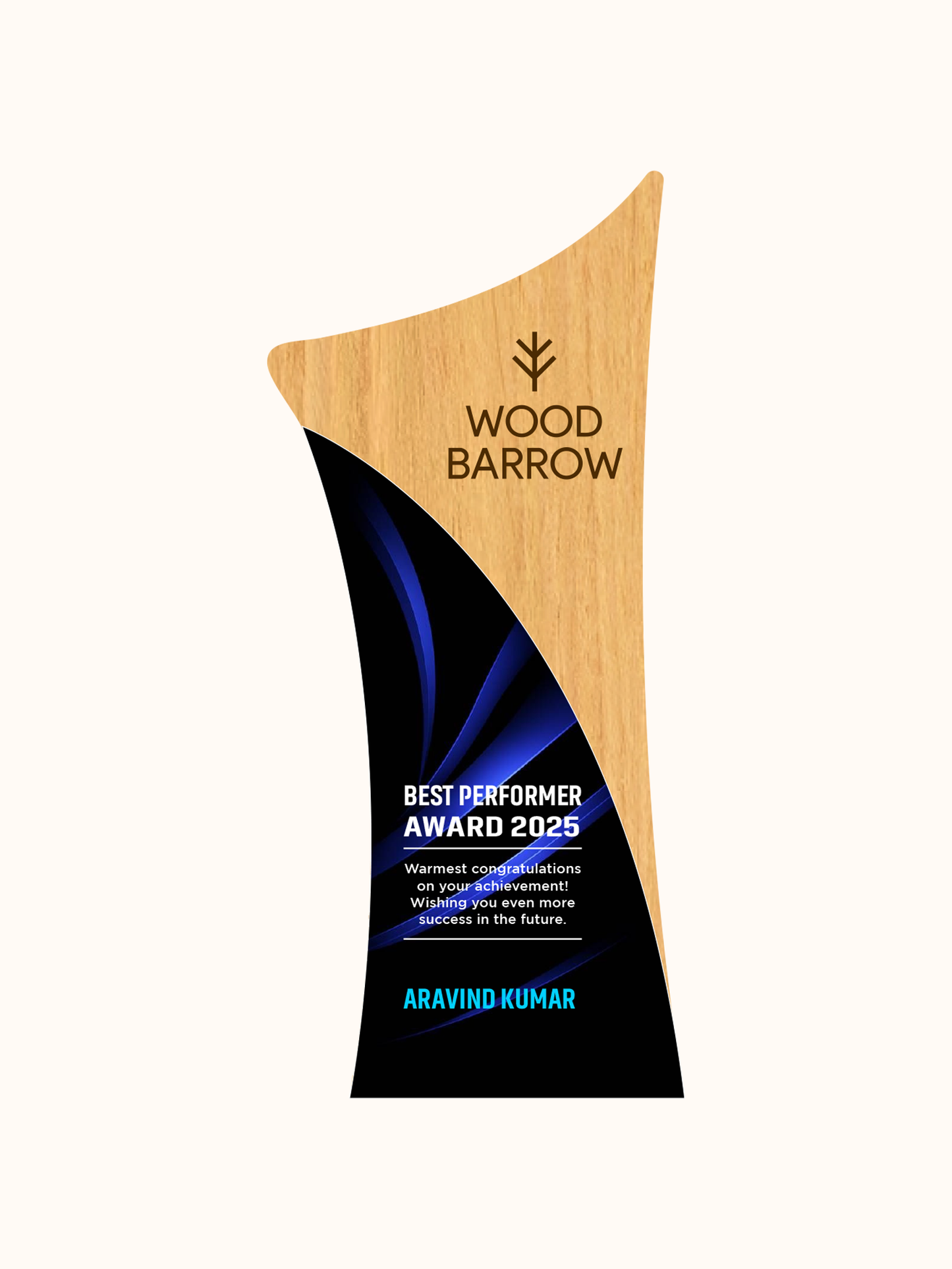Customized Acrylic Crafts Plexiglass Award – Outstanding Enterprise Honor Trophy