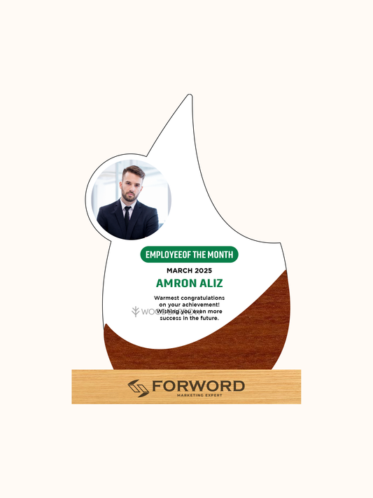 Customized Acrylic Crafts Plexiglass Award/Trophy – Outstanding Enterprise Honor